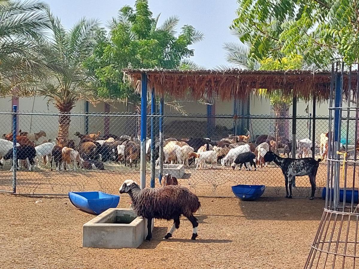 Asahalah Farm Pool Villas スィーブ エクステリア 写真